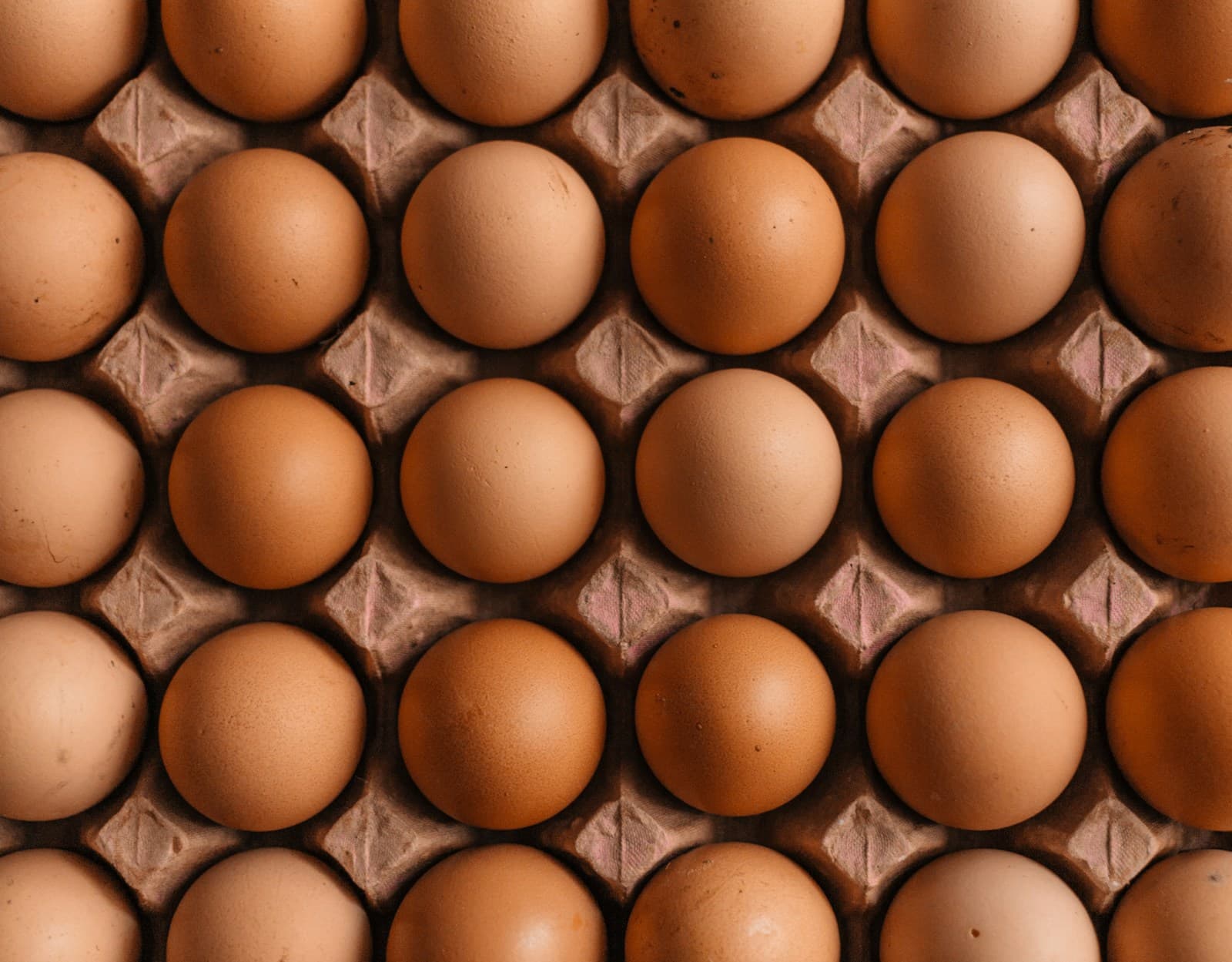 Eier